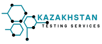 KAZAKHSTAN TESTING SERVICES Logo